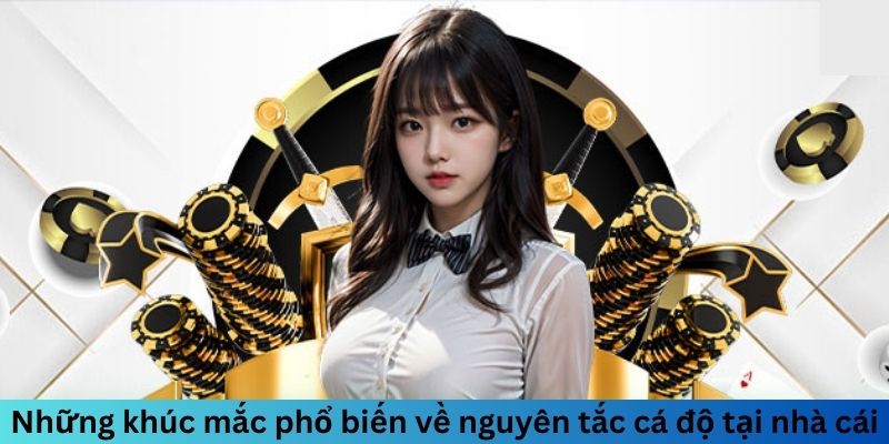 Những Câu Hỏi Thường Gặp Khi Chơi Tại F168 4 Những khúc mắc phổ biến về nguyên tắc cá độ tại nhà cái